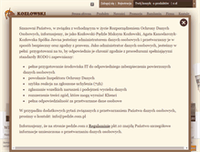 Tablet Screenshot of pedzle.com
